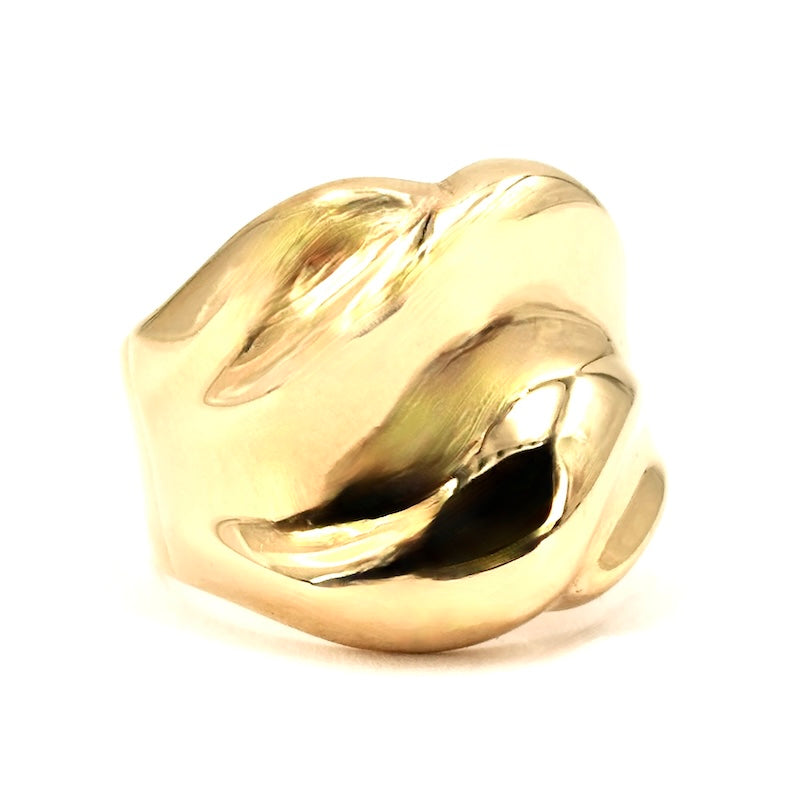 Ingrandisci