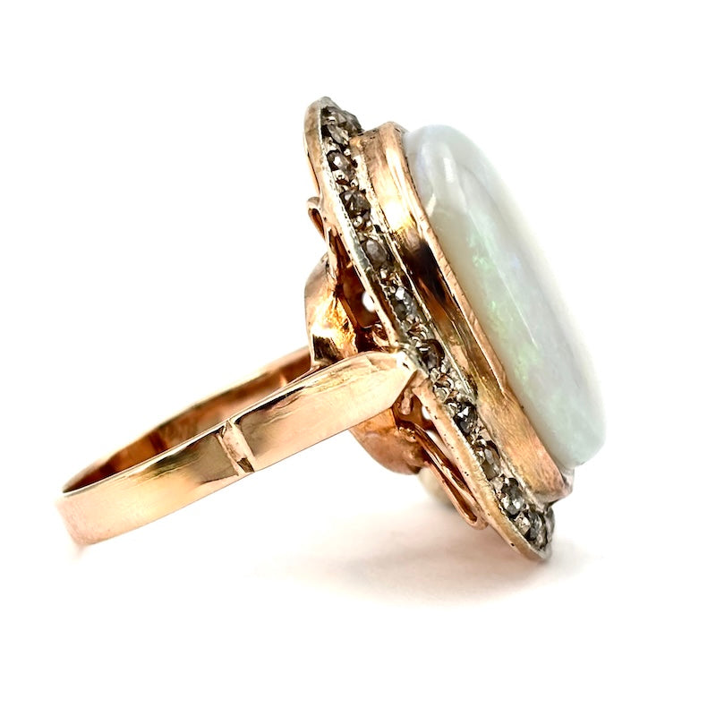 Ingrandisci