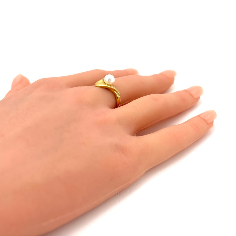 Ingrandisci